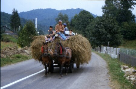 Romania, Maramures: uno spettacolo consueto