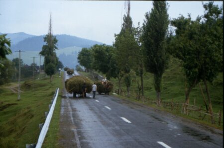 Maramures: z&auml;hfl&uuml;ssiger Verkehr&#8230;