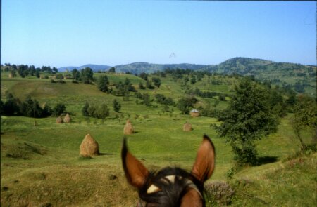 Panorama del Maramures tra le orecchie di Diamantea