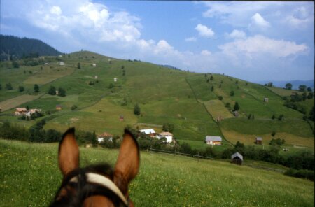 Maramures, so war es auch bei uns vor 70 Jahren 