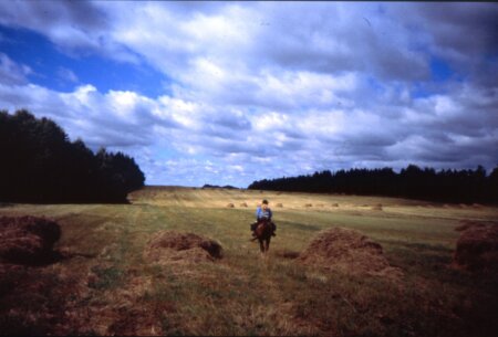 Campagna bielorussa