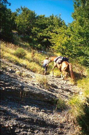 Auf dem Appennin 