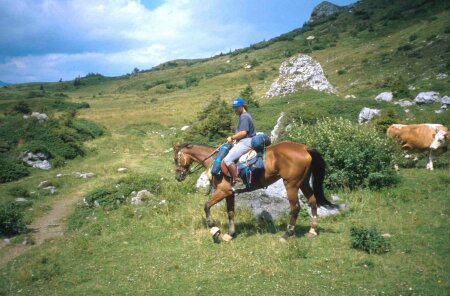 Cason di Lanza, Dario con Perla