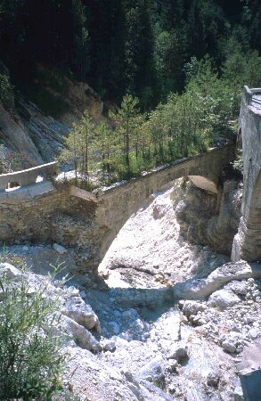 Processione di alberi in Val Dogna