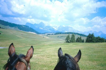 Seiser Alm, S&uuml;dtirol, Landschaft im Ohren-Rahmen