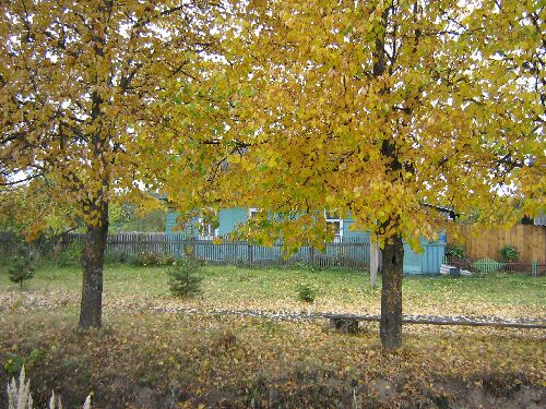  Herbst im Weissrussland