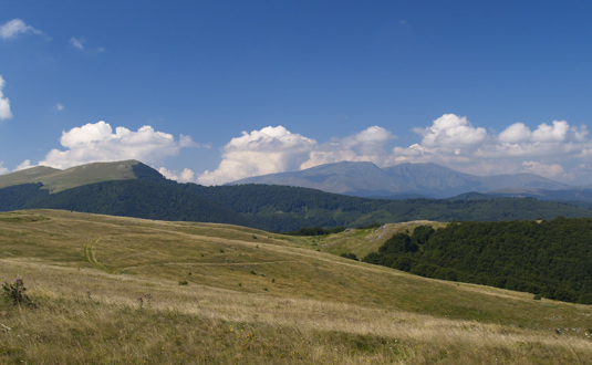 Pascoli sommitali sulla Stara Planinà
