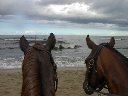  Die Ostsee-Wellen