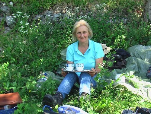  Kaffee auf der Wiese