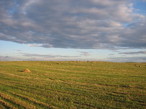  Campagna bielorussa