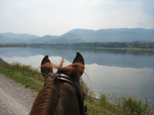  Ancora sul fiume Vah