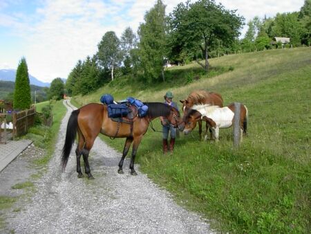  Incontro equino ad Aflenz