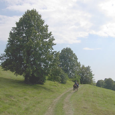 I prati del Kolovrat