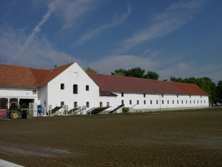  Der Reithof von Lubomir Hlavenka in Mikulov