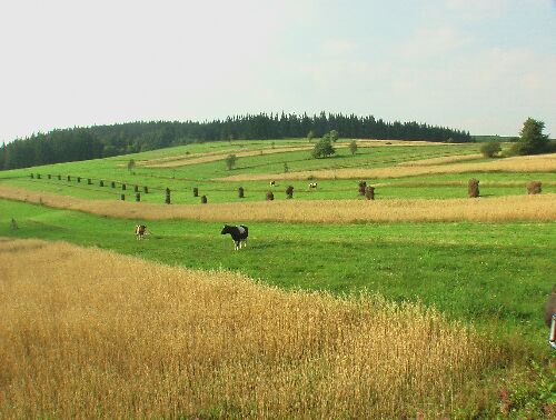  Paesaggio antropizzato della montagna polacca