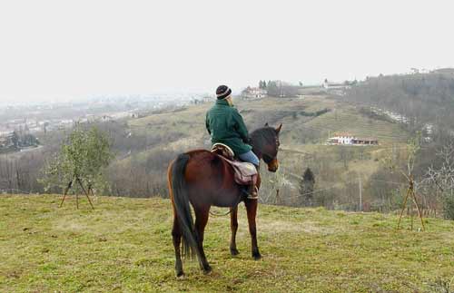 Vista sulle colline dal Pecol da Semine