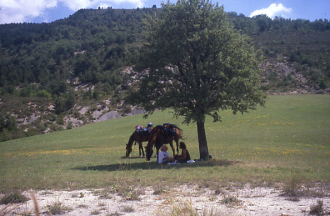  Sosta meridiana in Provenza