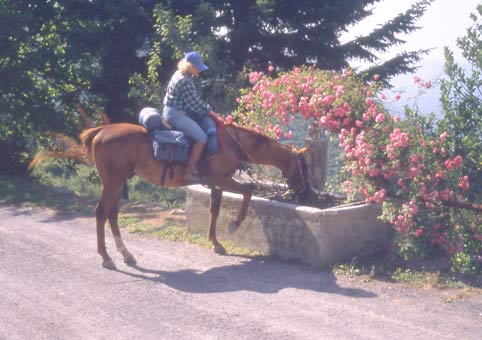  Al Col di San Bernardo