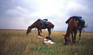  Mittagspause in der Puszta