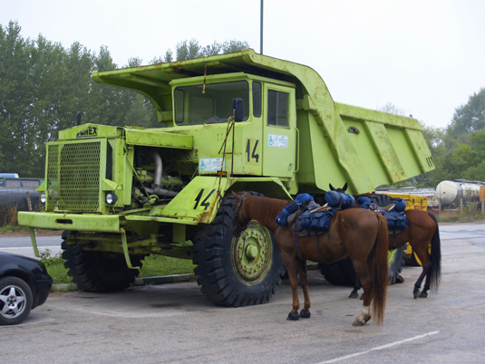 Terek accanto a T Rex, un camion mostruoso dal nome azzeccato