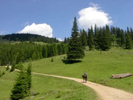  Turnauer Alm