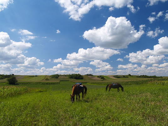 Prime colline in Serbia